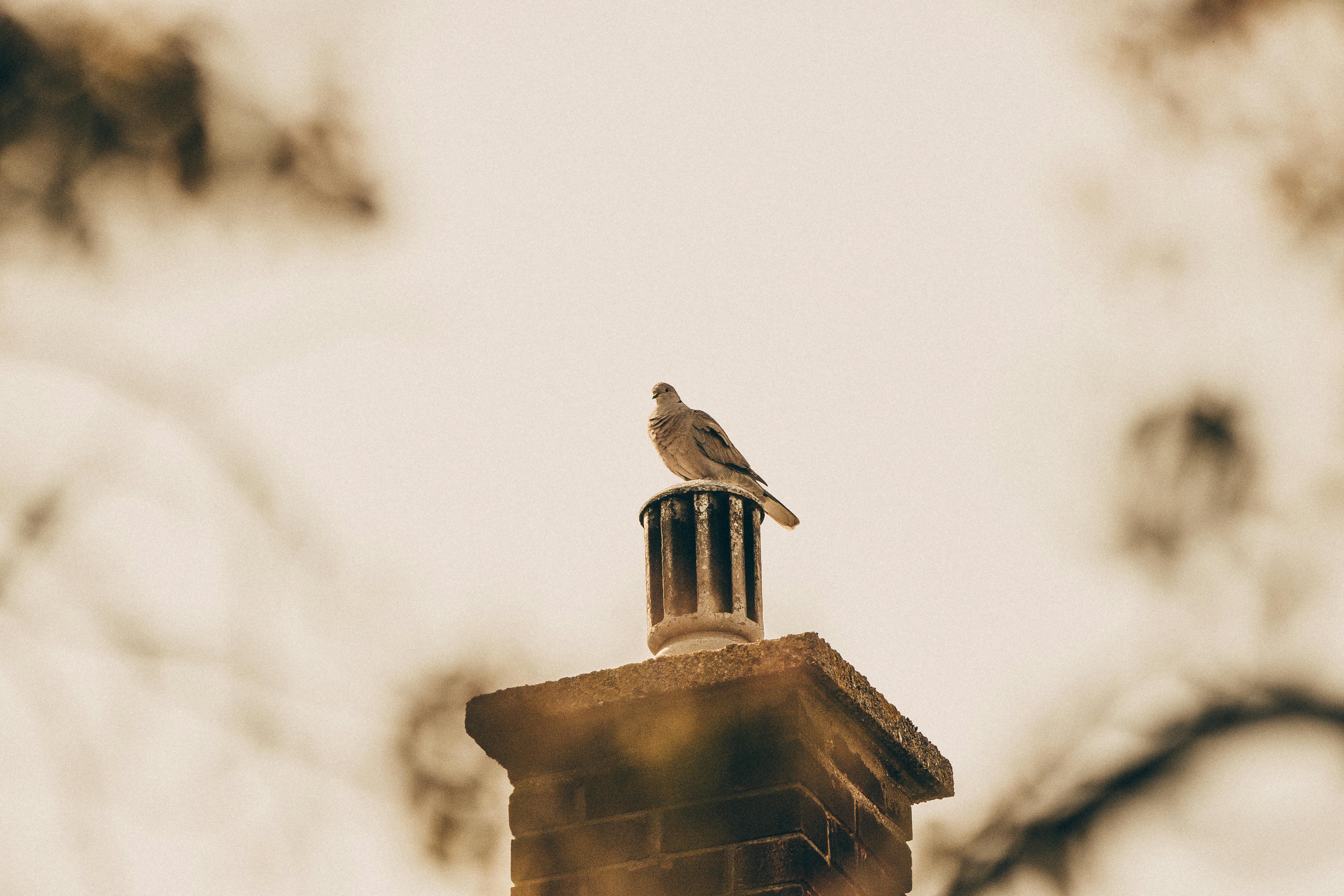 Professional Chimney Cap Installation Services in Glen Arm, MD Expert Chimney Cap Installation in Glen Arm, Maryland